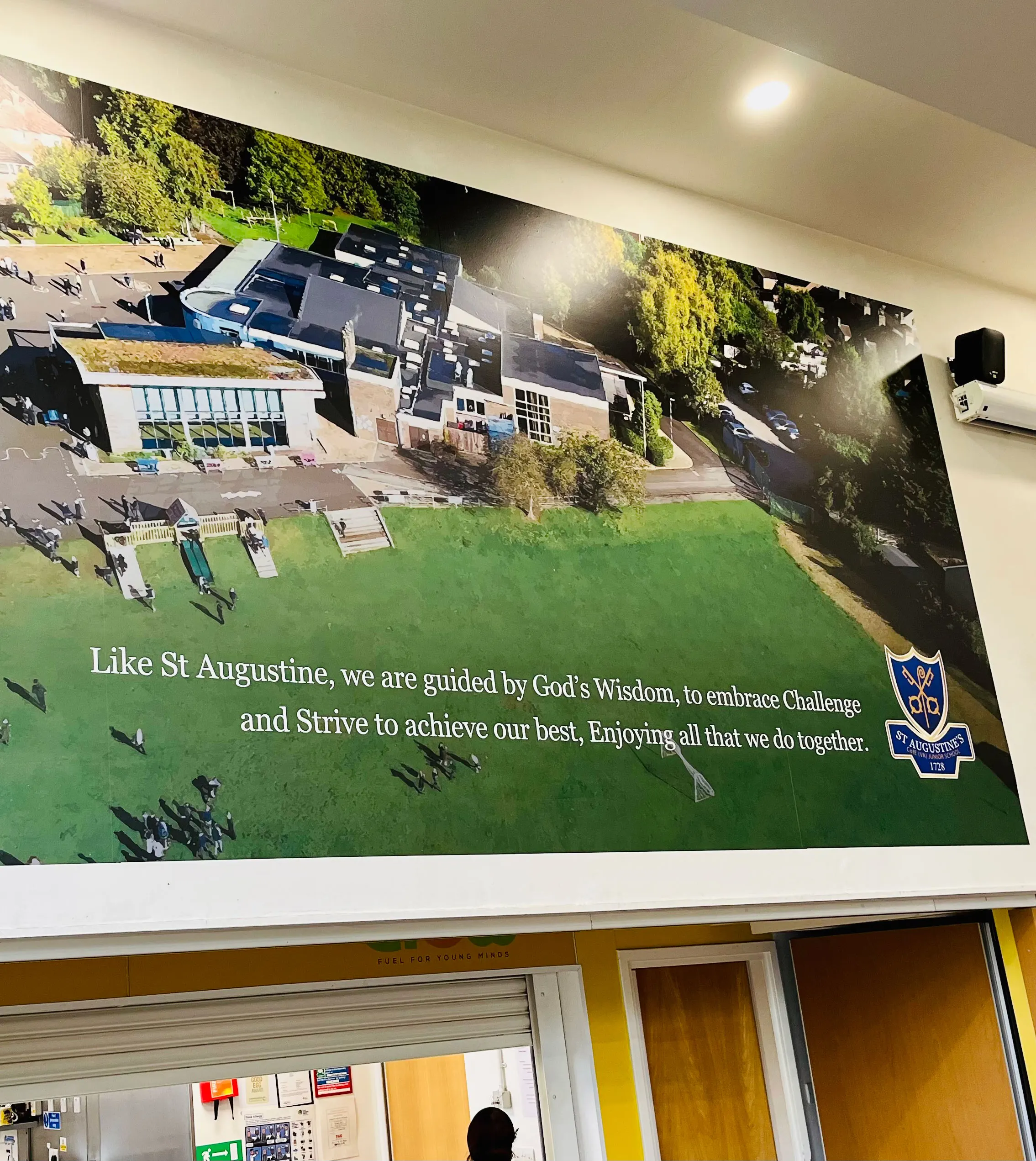 Large-Format School Wall Graphic